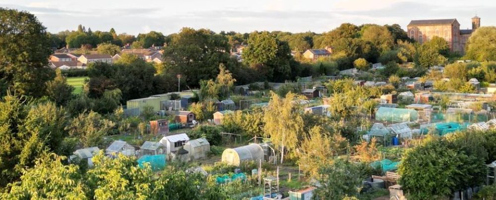 Anlaby Allotment Association