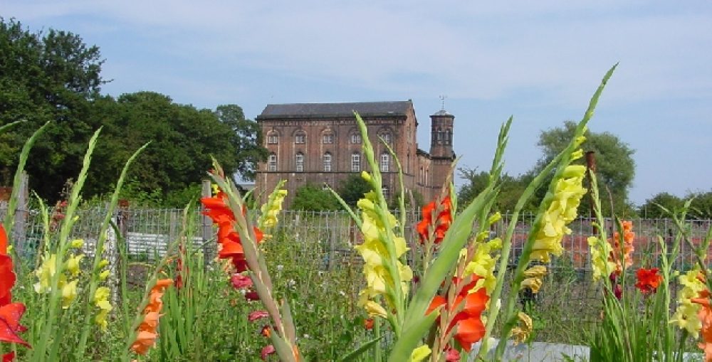 Anlaby Allotment Association